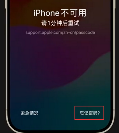 秦皇岛苹果手机密码维修分享iPhone忘记了刚设置的密码 