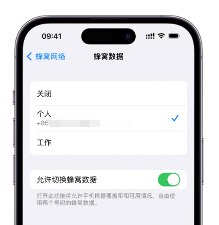 秦皇岛苹果维修服务分享如何在iPhone上使用双卡 