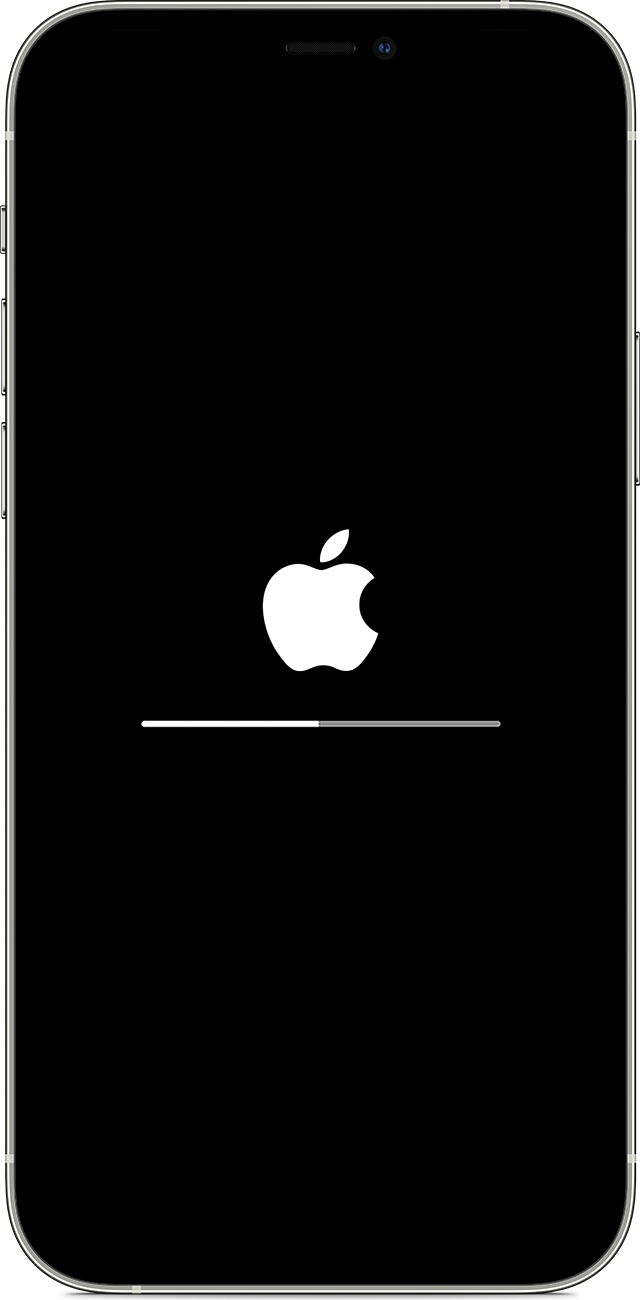 秦皇岛苹果手机维修分享iPhone 12 无法更新系统、出现报错的解决办法 