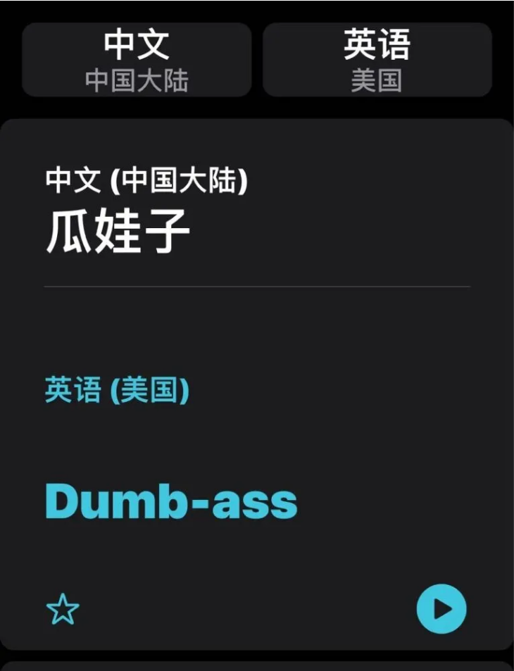 秦皇岛苹果手机维修分享iOS14的“翻译太懂了”怎么用 